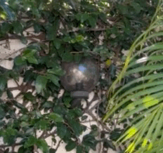 ampoule qui clignote même après son remplacement : appelez un électricien