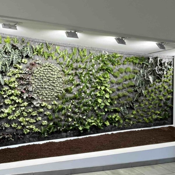 Eclairage jardin d'intérieur
